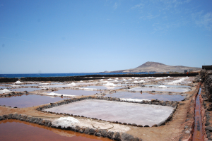 ¿Qué sabes de la sal marina? Descubre el Oro Blanco la sal marina artesanal.
